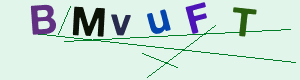 captcha img